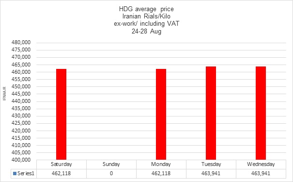 گالوانیزه ریپورت