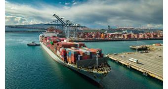 گزارش هفته 51 سال 2025