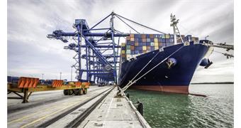 Iran Steel Market Trend in Week 42nd   , 2025