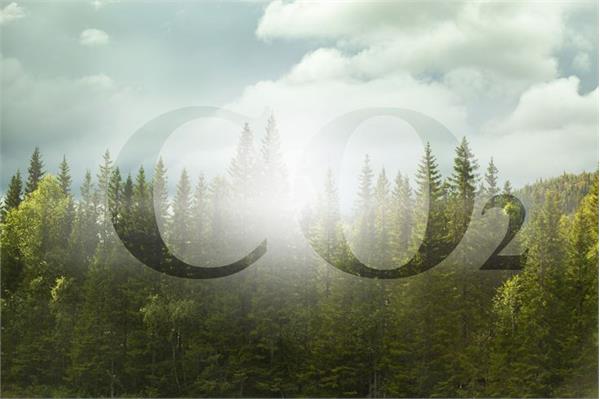 افزایش چشمگیر انتشار گازهای گلخانه‌ای در صنعت فولاد چین