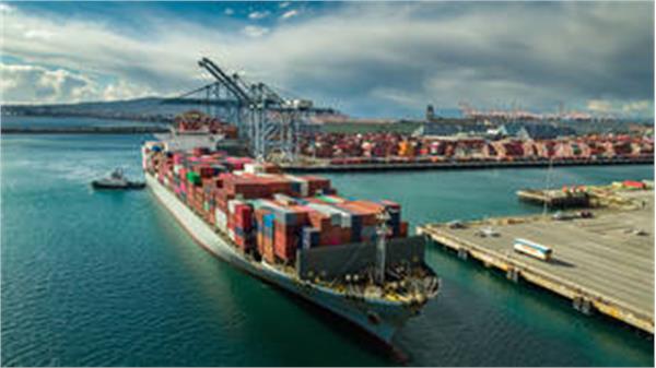 گزارش هفته 51 سال 2025